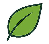 Bright green leaf icon